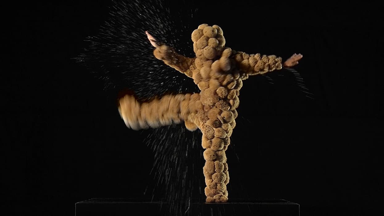 Iris Buchholz Chocolate, still from Os sonhos do embondeiro (Baobab’s Dreams), 2012, video, sound, 14 min., 14 sec. Artwork © Iris Buchholz Chocolate