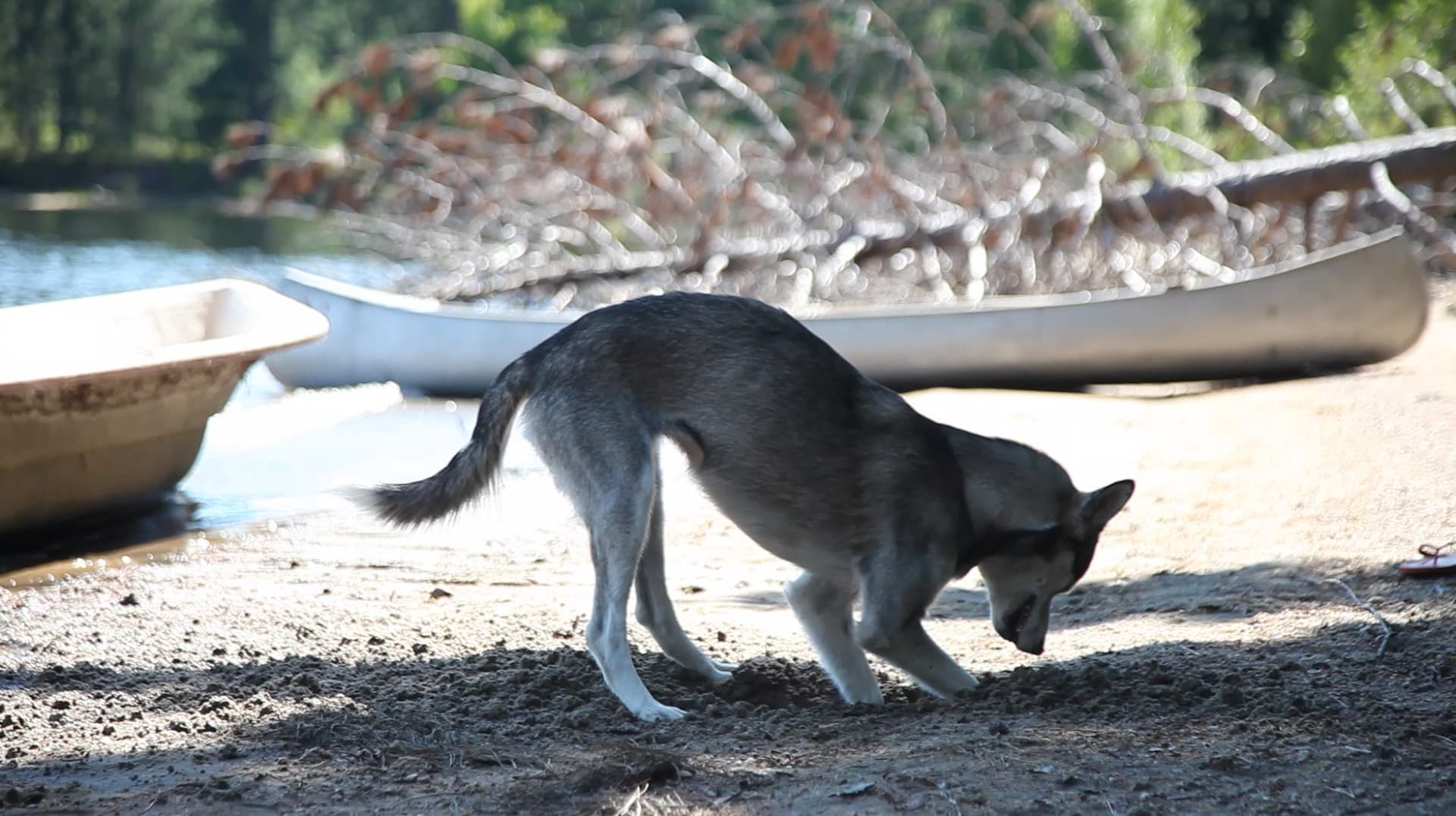 Daniel Santiago Salguero, still from Tesoro - Diálogo entre Tiempos (Treasure – Dialogue between Times), 2013, video, sound, 5 min., 28 sec. Artwork © Daniel Santiago Salguero, provided by the artist and Instituto de Visión, Bogotá