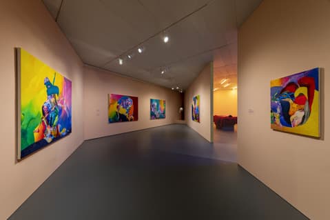 Gallery room with soft peach-colored walls displaying a series of colorful abstract paintings, each featuring bold, fluid shapes and vibrant gradients, illuminated by track lighting.