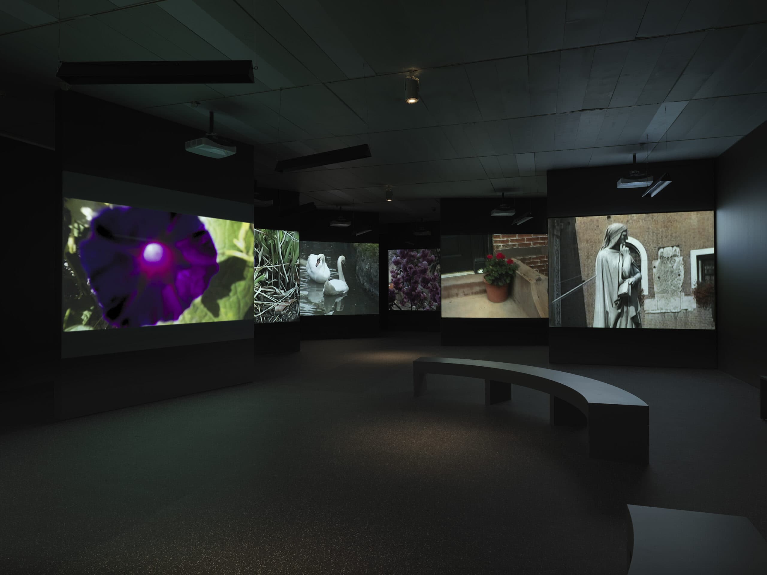 Dark gallery with multiple projection screens displaying images of a purple flower, swans in water, lilacs, a potted plant on stairs, and a stone statue of a veiled figure. Curved black benches are placed in the center of the room.