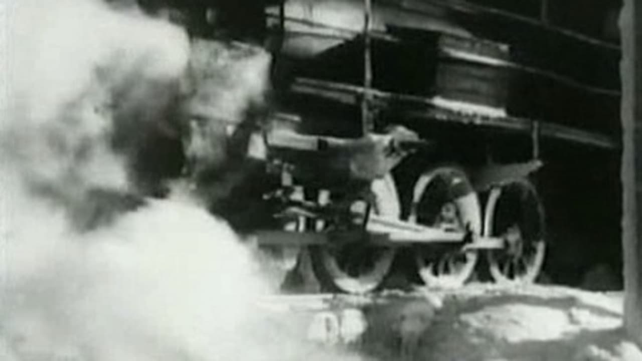 Turksib Directed by Viktor Turin 1929, USSR, 57 min.

A stirring chronicle of the building of the Turkestan-Siberia railway, Viktor Turin's Turksib had a major influence on British and American documentary films in the 1930s. The film recounts the construction of this important transportation link, one of the Soviet Union's earliest grand construction and modernization projects. In addition to camerawork with an epic sweep, Turin incorporates newsreel footage and stock shots from previous Soviet propaganda films into his documentary. Memorable scenes include a harrowing sandstorm, filmed at great personal risk to the camera crew. The M.I.T.-educated Turin learned the movie business at the Vitagraph Studios in Hollywood and became a fan of westerns before returning to the Soviet Union to direct this career-defining film.