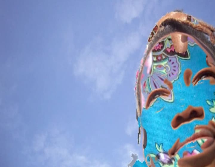 Dineo Seshee Bopape, still from is i am sky, 2013, digital video, sound, 17 min., 48 sec. Artwork © Dineo Seshee Bopape, provided by the artist and Stevenson, Capetown and Johannesburg