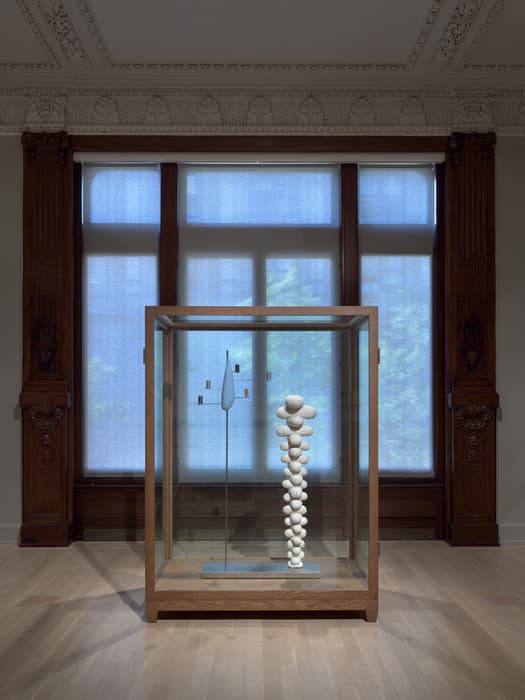 A glass display case containing two modern sculptural works, positioned in front of tall windows with blue curtains. The case features a wood frame and sits on a light wood floor in an ornate room with carved wood paneling and detailed crown molding. Inside the case, on the left, is a tall vertical sculpture with a blue, fin-like form mounted on a slender rod with horizontal arms ending in small red and blue cylinders. On the right is a vertical column made of stacked, rounded, white, textured forms resembling soft, crocheted shapes. Natural light softly illuminates the scene.