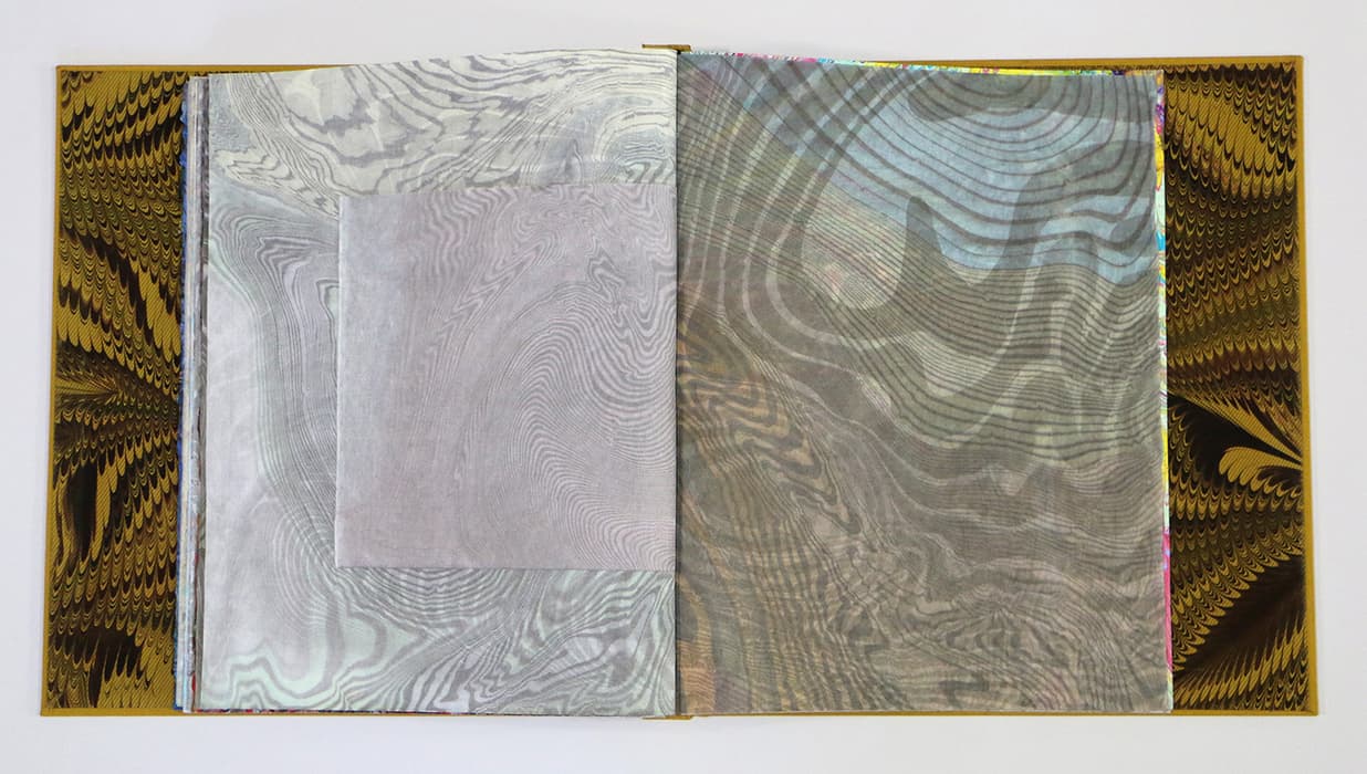 Adult Studio Workshop