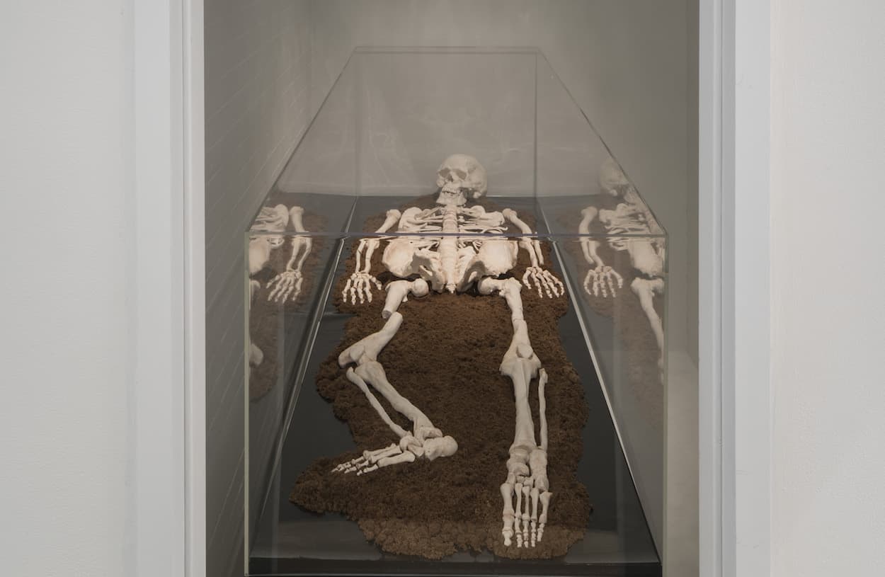 Take Me (I'm Yours) Final Day