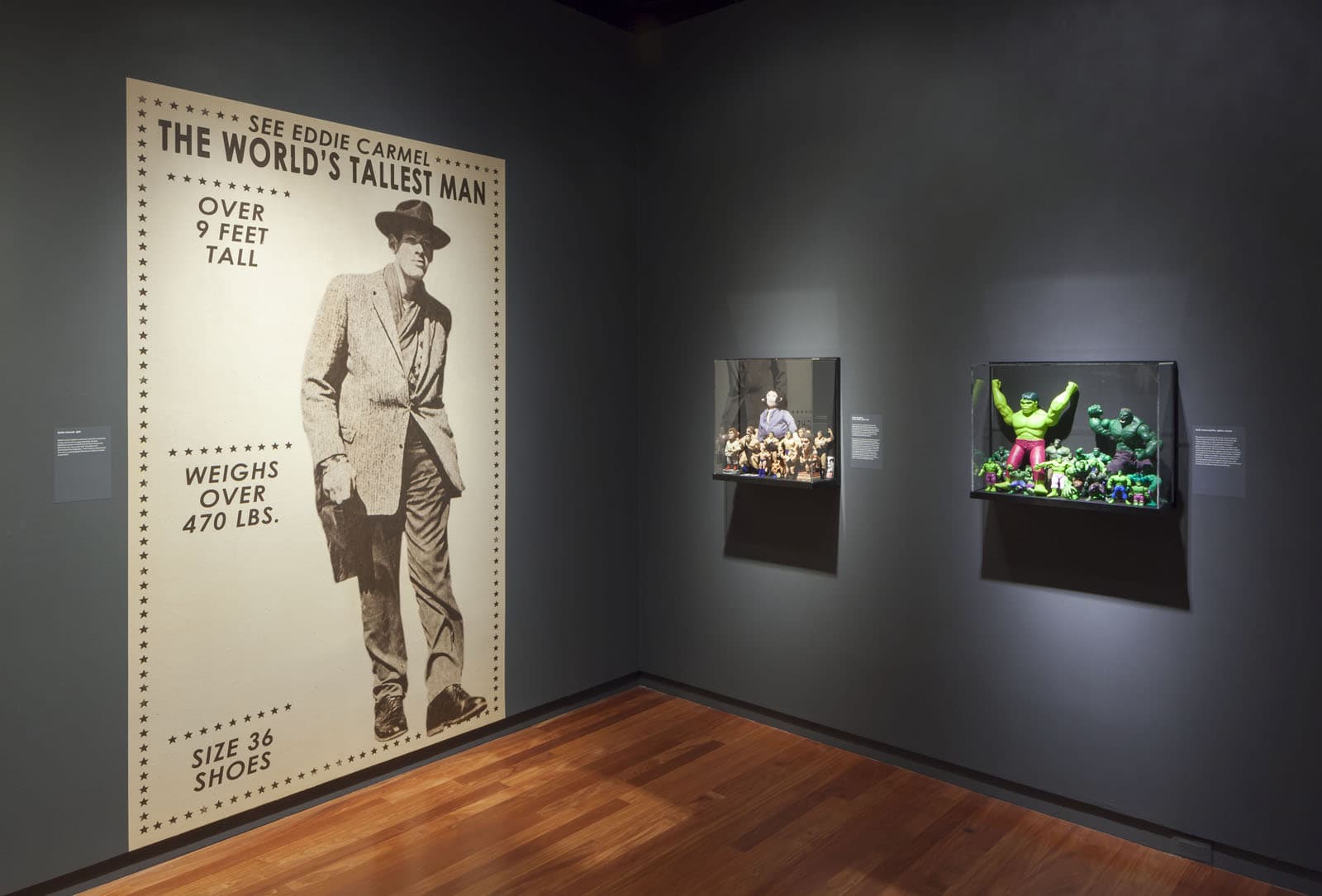 Masterpieces & Curiosities: Diane Arbus's Jewish Giant Opens April 11, 2014