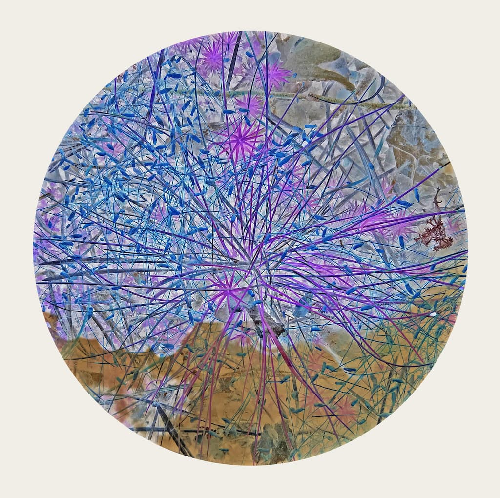 Access Family Workshop